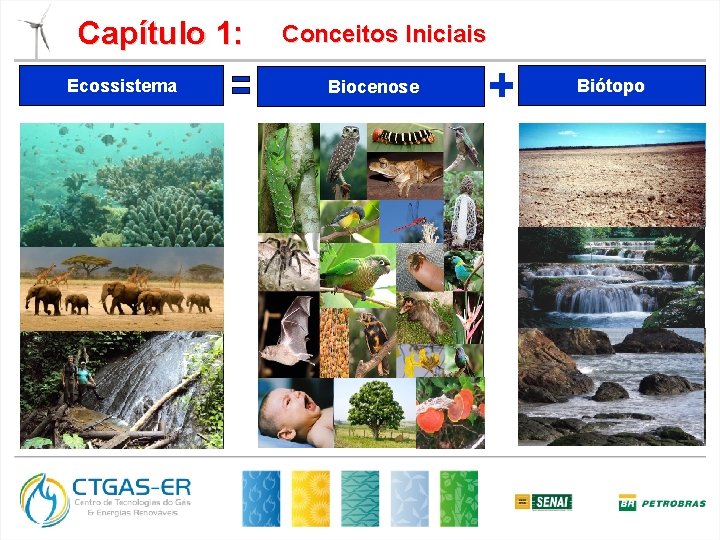 Capítulo 1: Ecossistema Conceitos Iniciais Biocenose Biótopo 