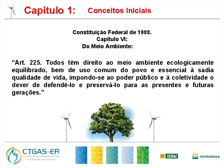 Capítulo 1: Conceitos Iniciais Constituição Federal de 1988. Capítulo VI: Do Meio Ambiente: “Art.