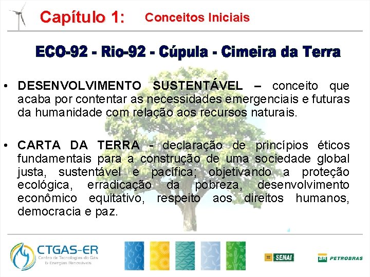 Capítulo 1: Conceitos Iniciais • DESENVOLVIMENTO SUSTENTÁVEL – conceito que acaba por contentar as