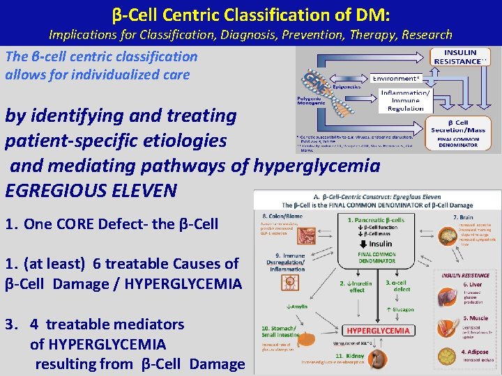 β-Cell Centric Classification of DM: Implications for Classification, Diagnosis, Prevention, Therapy, Research The β-cell