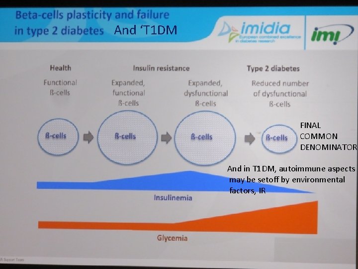 And ‘T 1 DM FINAL COMMON DENOMINATOR And in T 1 DM, autoimmune aspects