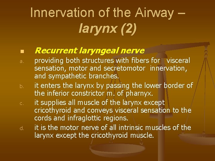 Innervation of the Airway – larynx (2) n a. b. c. d. Recurrent laryngeal