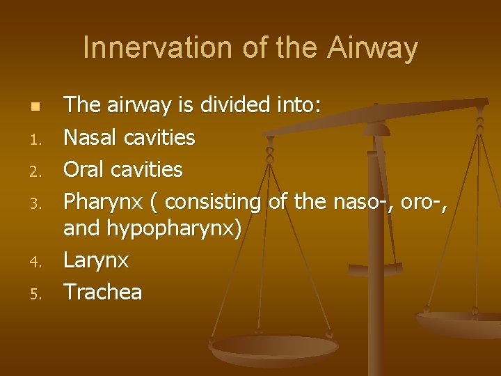 Innervation of the Airway n 1. 2. 3. 4. 5. The airway is divided