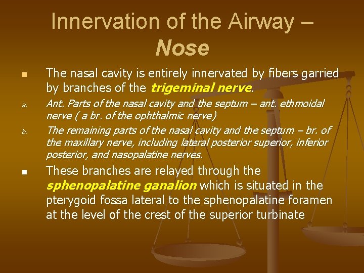 Innervation of the Airway – Nose n a. b. n The nasal cavity is