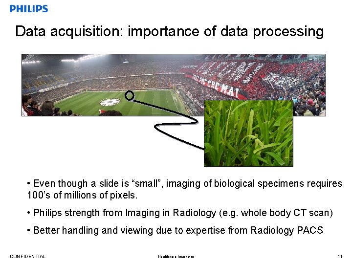 Data acquisition: importance of data processing • Even though a slide is “small”, imaging