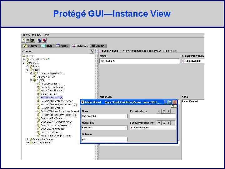 Protégé GUI—Instance View 