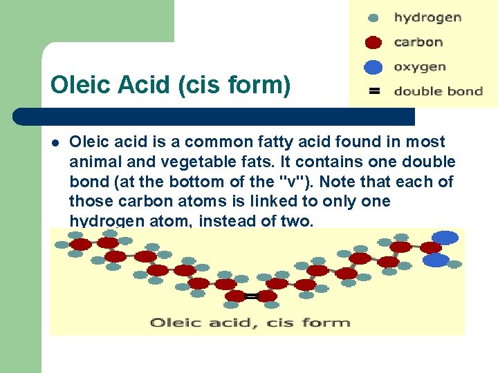 Oleic Acid (cis form) l l Oleic acid is a common fatty acid found