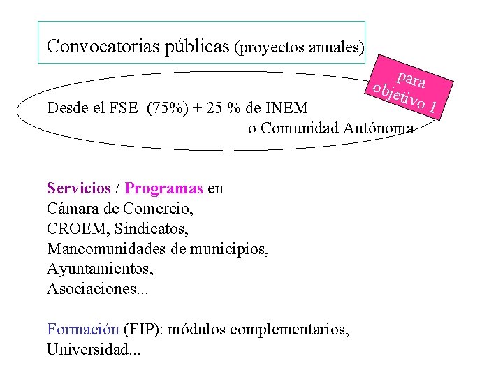 Convocatorias públicas (proyectos anuales) para obje tivo 1 Desde el FSE (75%) + 25