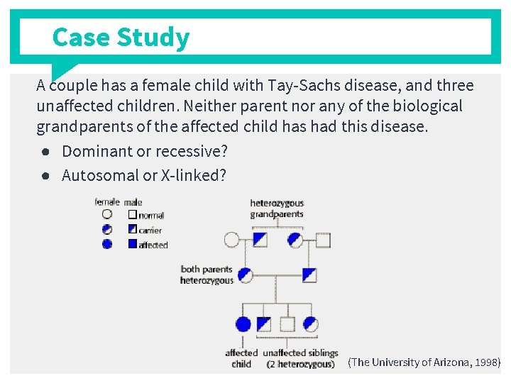 Case Study A couple has a female child with Tay-Sachs disease, and three unaffected