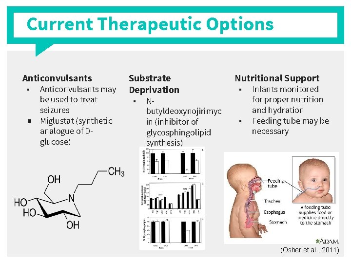 Current Therapeutic Options Anticonvulsants ■ Anticonvulsants may be used to treat seizures ■ Miglustat