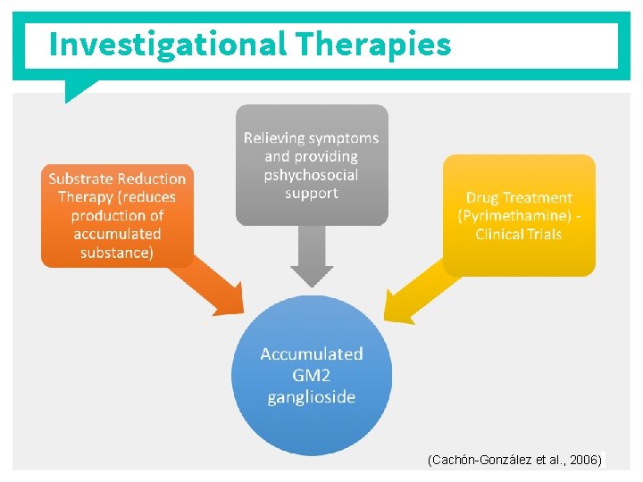Investigational Therapies (Cachón-González et al. , 2006) 