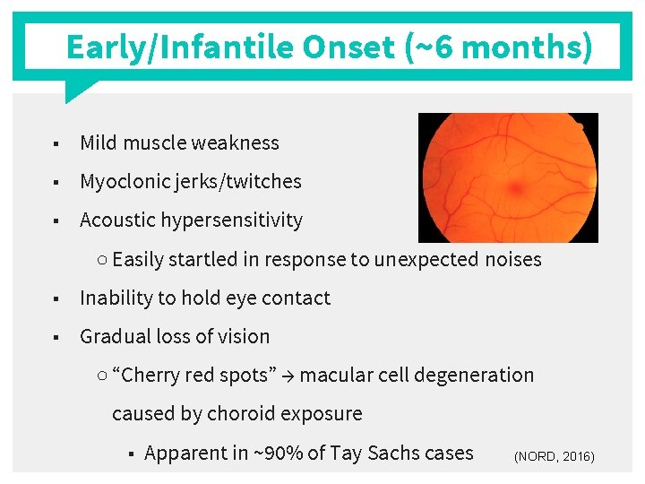 Early/Infantile Onset (~6 months) ■ Mild muscle weakness ■ Myoclonic jerks/twitches ■ Acoustic hypersensitivity