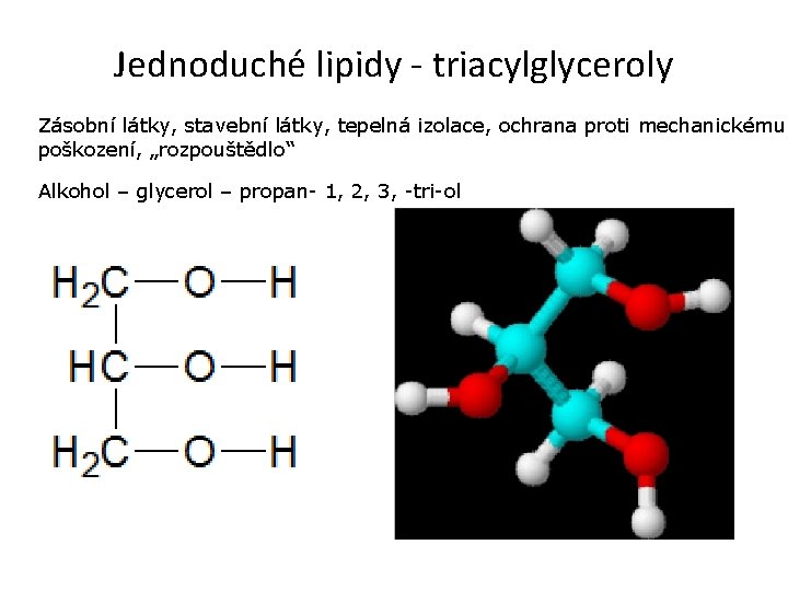 Jednoduché lipidy - triacylglyceroly Zásobní látky, stavební látky, tepelná izolace, ochrana proti mechanickému poškození,