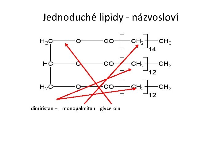 Jednoduché lipidy - názvosloví dimiristan – monopalmitan glycerolu 