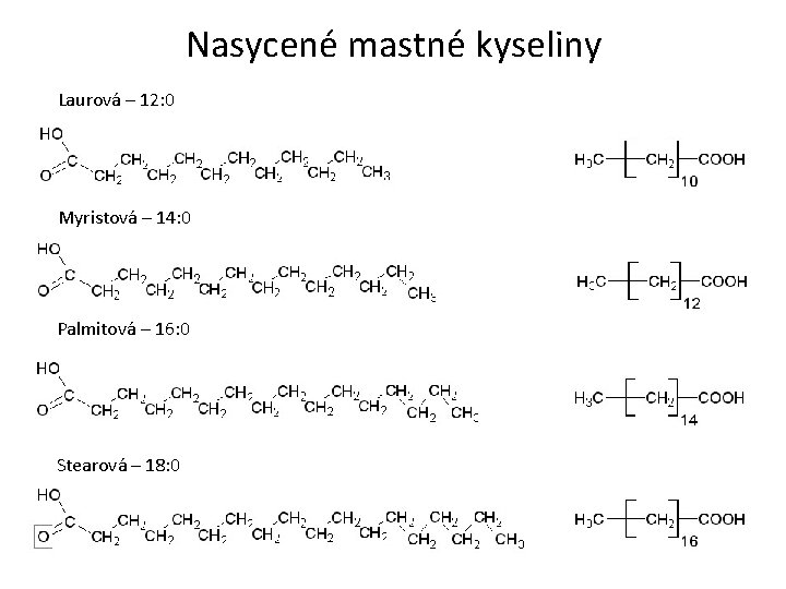 Nasycené mastné kyseliny Laurová – 12: 0 Myristová – 14: 0 Palmitová – 16: