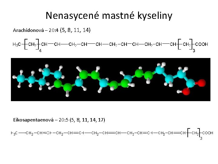 Nenasycené mastné kyseliny Arachidonová – 20: 4 (5, 8, 11, 14) Eikosapentaenová – 20: