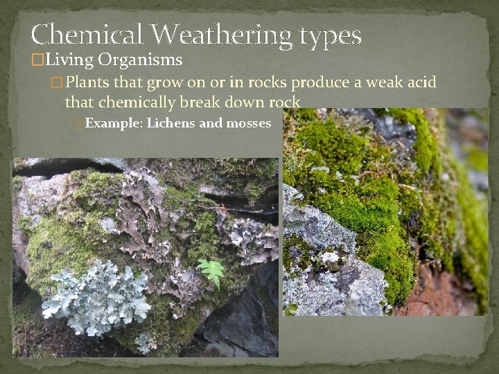 Chemical Weathering types �Living Organisms � Plants that grow on or in rocks produce