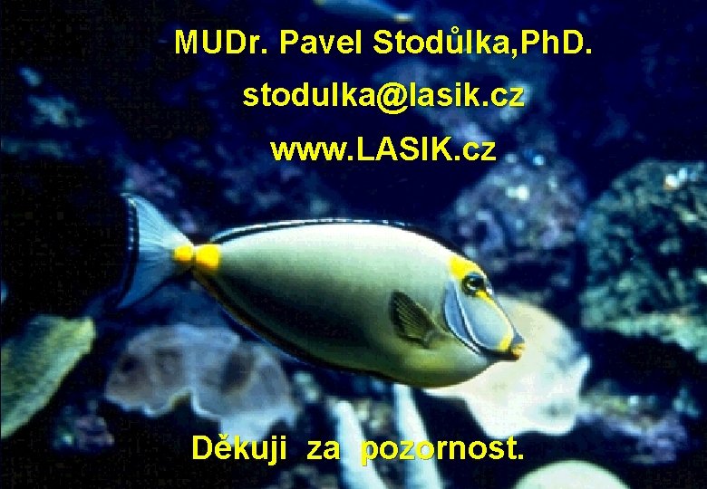 MUDr. Pavel Stodůlka, Ph. D. stodulka@lasik. cz www. LASIK. cz Děkuji za pozornost. 