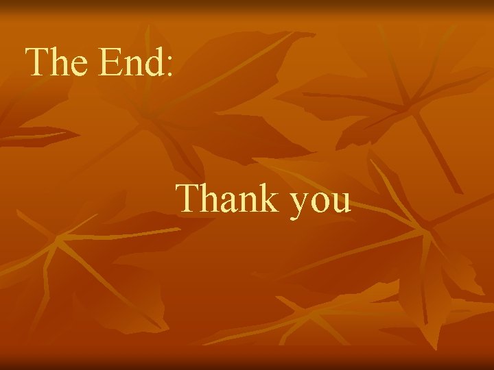 The End: Thank you 