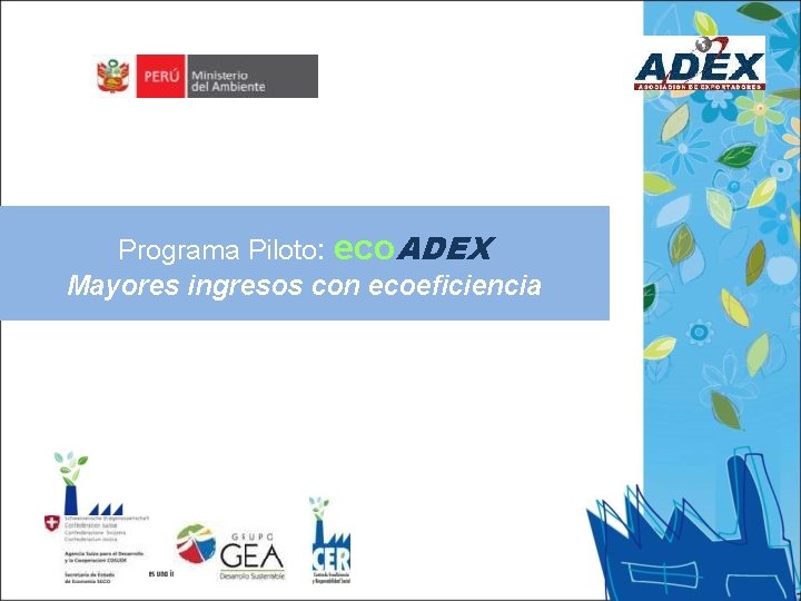 Programa Piloto: eco. ADEX Mayores ingresos con ecoeficiencia 