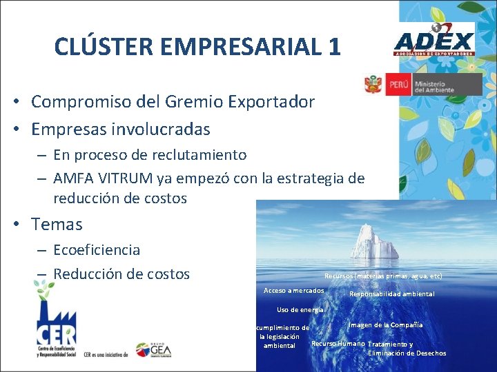 CLÚSTER EMPRESARIAL 1 • Compromiso del Gremio Exportador • Empresas involucradas – En proceso