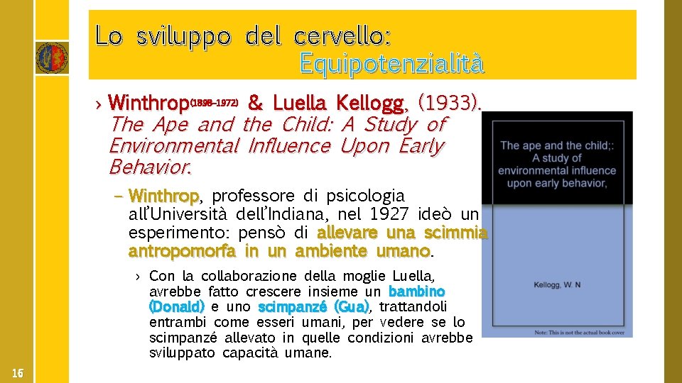 Lo sviluppo del cervello: Equipotenzialità › Winthrop(1898– 1972) & Luella Kellogg, (1933). The Ape