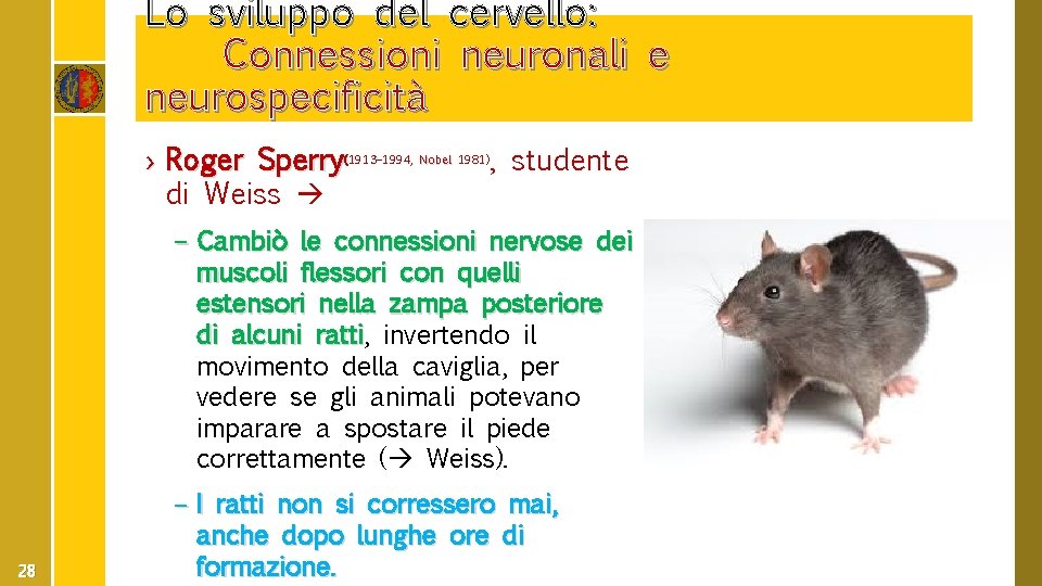 Lo sviluppo del cervello: Connessioni neuronali e neurospecificità › Roger Sperry(1913– 1994, Nobel 1981),