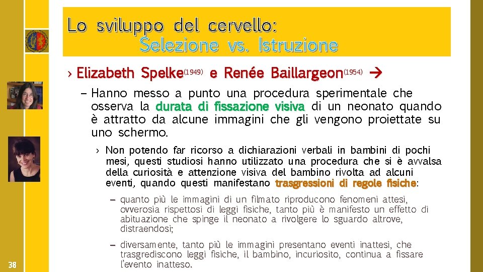 Lo sviluppo del cervello: Selezione vs. Istruzione › Elizabeth Spelke(1949) e Renée Baillargeon(1954) –