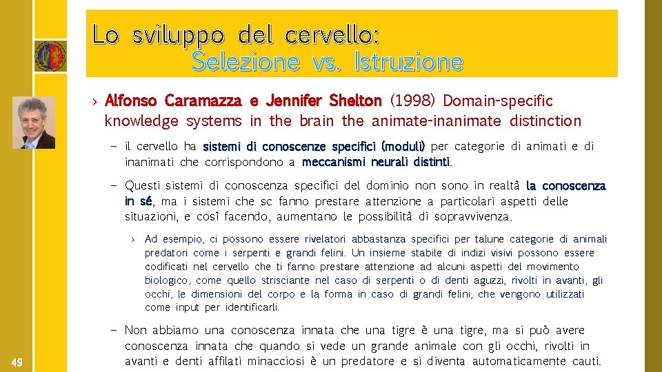 Lo sviluppo del cervello: Selezione vs. Istruzione › Alfonso Caramazza e Jennifer Shelton (1998)