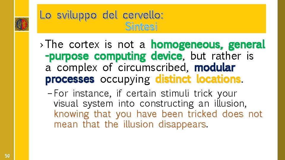 Lo sviluppo del cervello: Sintesi › The cortex is not a homogeneous, general -purpose