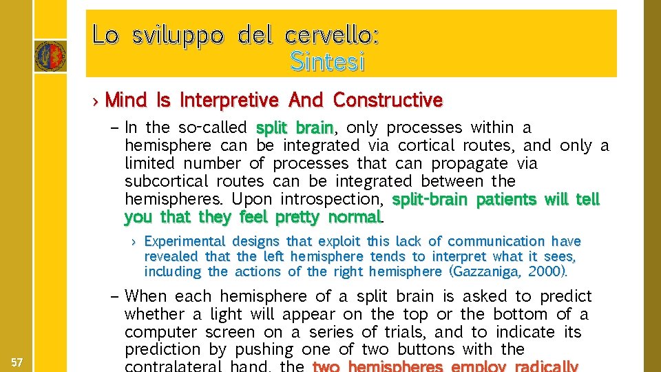 Lo sviluppo del cervello: Sintesi › Mind Is Interpretive And Constructive – In the