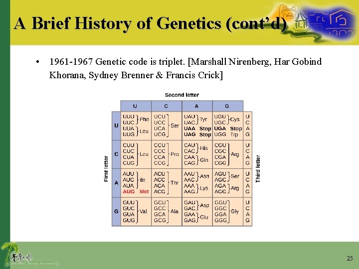 A Brief History of Genetics (cont’d) • 1961 -1967 Genetic code is triplet. [Marshall