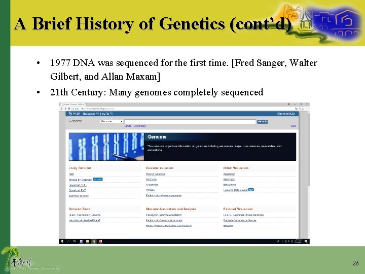 A Brief History of Genetics (cont’d) • 1977 DNA was sequenced for the first