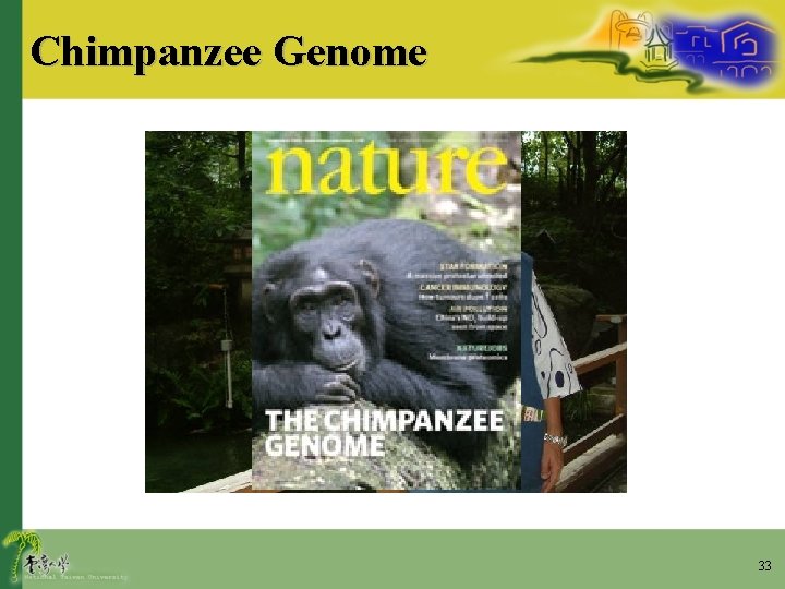 Chimpanzee Genome 33 