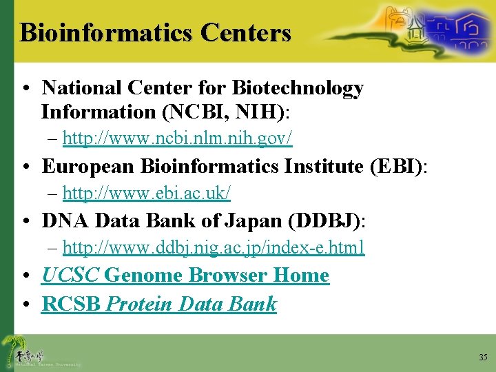 Bioinformatics Centers • National Center for Biotechnology Information (NCBI, NIH): – http: //www. ncbi.