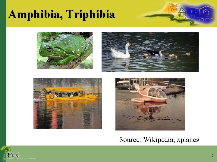 Amphibia, Triphibia Source: Wikipedia, xplanes 5 