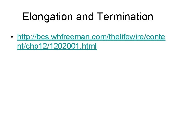 Elongation and Termination • http: //bcs. whfreeman. com/thelifewire/conte nt/chp 12/1202001. html 
