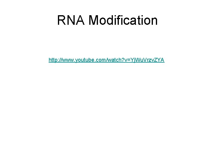 RNA Modification http: //www. youtube. com/watch? v=Yj. Wu. Vrzv. ZYA 