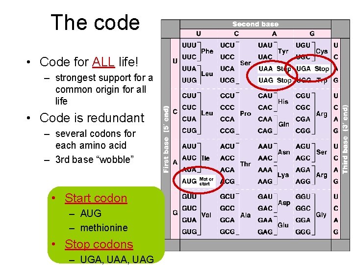 The code • Code for ALL life! – strongest support for a common origin
