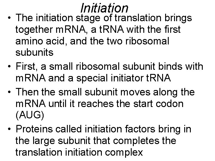 Initiation • The initiation stage of translation brings together m. RNA, a t. RNA