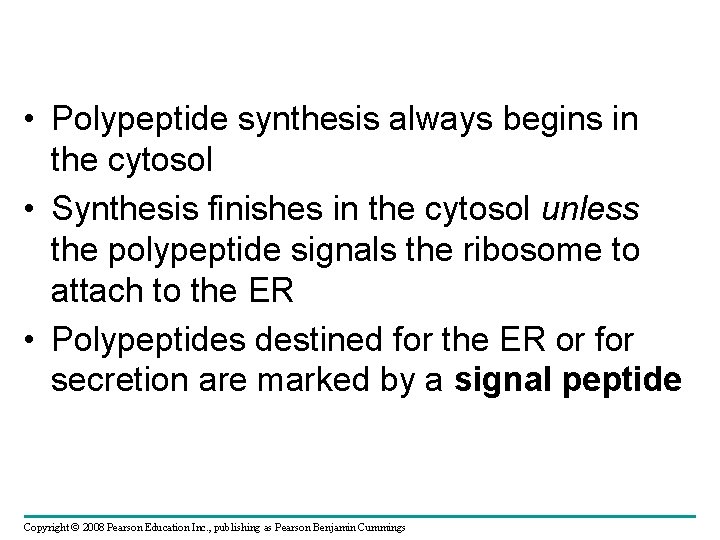  • Polypeptide synthesis always begins in the cytosol • Synthesis finishes in the