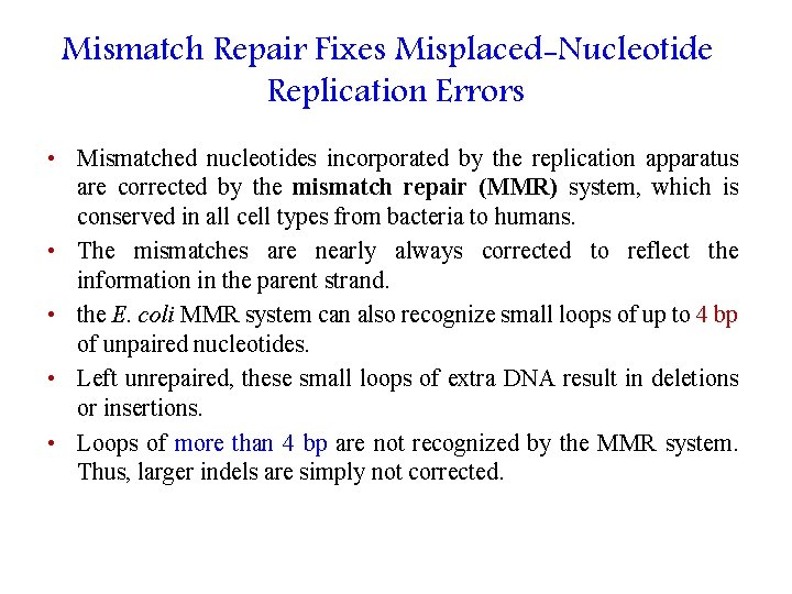 Mismatch Repair Fixes Misplaced-Nucleotide Replication Errors • Mismatched nucleotides incorporated by the replication apparatus