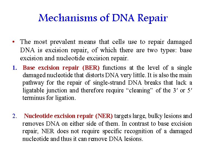 Mechanisms of DNA Repair • The most prevalent means that cells use to repair
