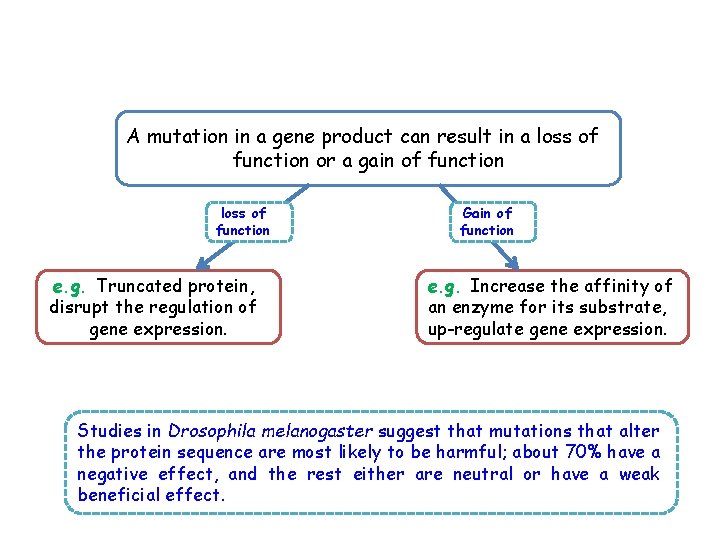 A mutation in a gene product can result in a loss of function or