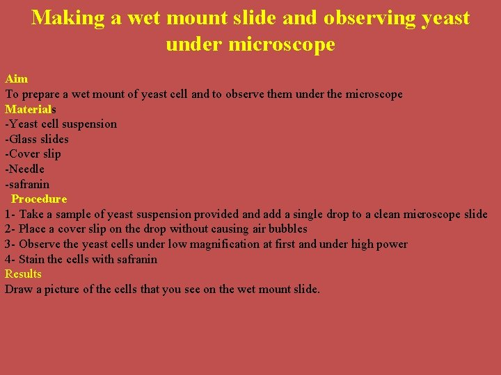 Making a wet mount slide and observing yeast under microscope Aim To prepare a