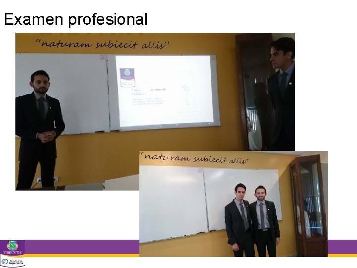 Examen profesional 