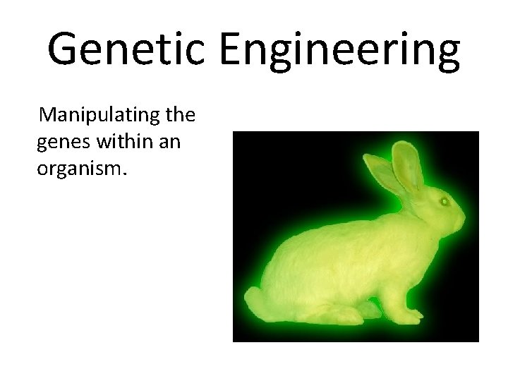 Genetic Engineering Manipulating the genes within an organism. 
