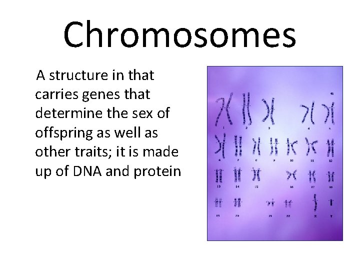 Chromosomes A structure in that carries genes that determine the sex of offspring as