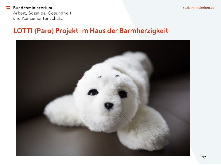 sozialministerium. at LOTTI (Paro) Projekt im Haus der Barmherzigkeit 17 