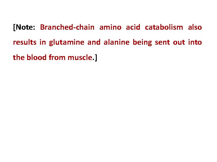[Note: Branched chain amino acid catabolism also results in glutamine and alanine being sent